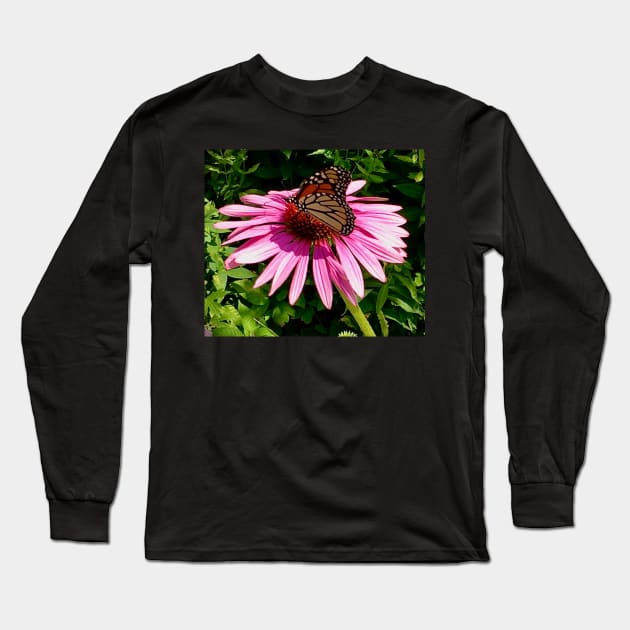 Beautiful Monarch resting on a coneflower Long Sleeve T-Shirt by Dillyzip1202